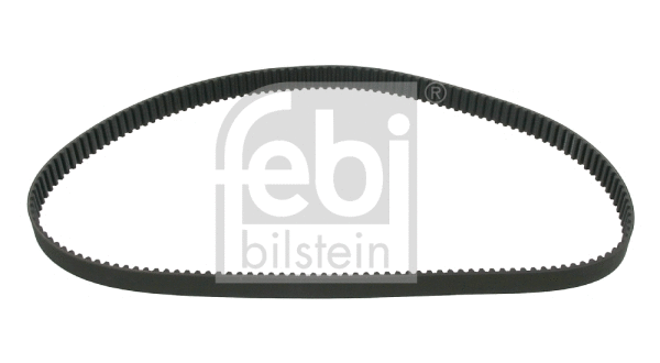 Timing Belt (19361)