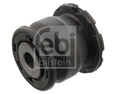 Mounting, control/trailing arm (102460)