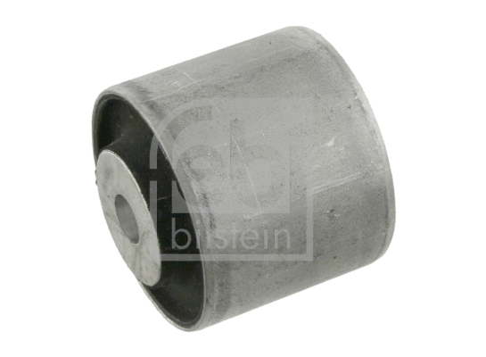 Mounting, differential (26384)