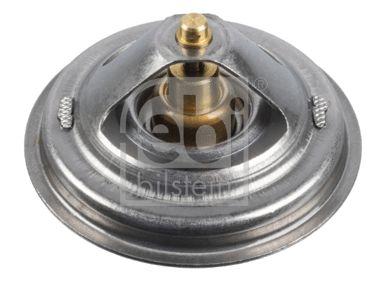 Thermostat, coolant (171129)