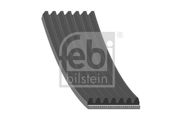 V-Ribbed Belt (176708)