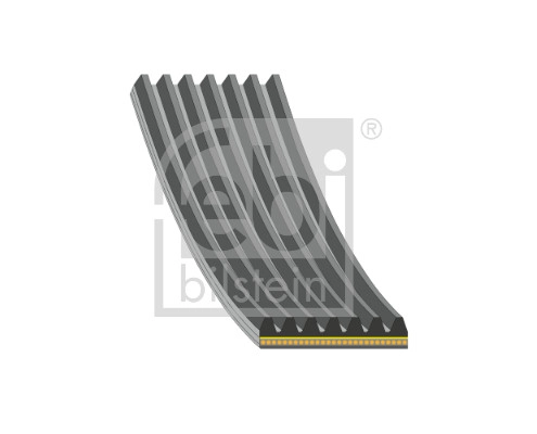 V-Ribbed Belt (184929)