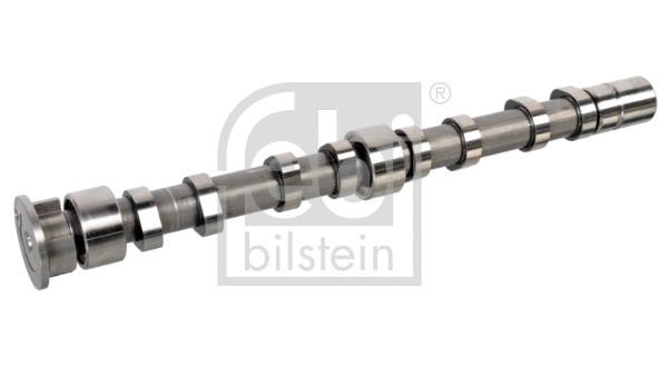 Camshaft (176003)