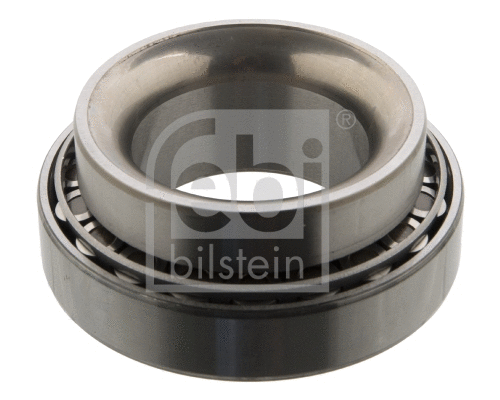Wheel Bearing (11441)
