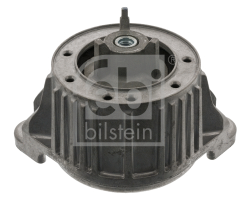Mounting, engine (29987)