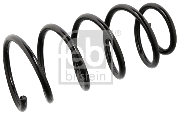 Suspension Spring (104731)