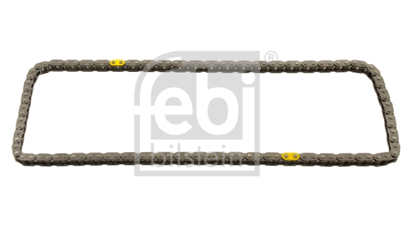 Timing Chain (30669)