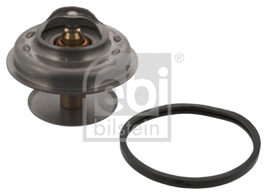 Thermostat, coolant (09325)