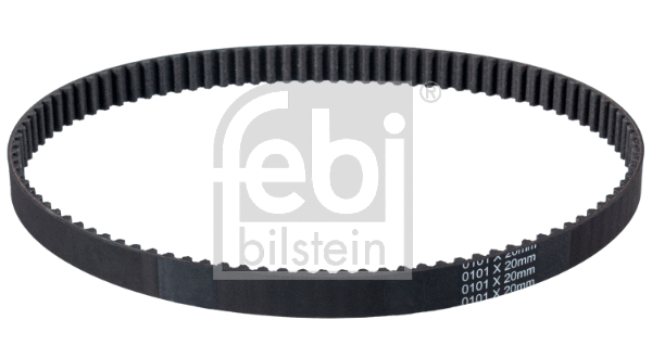Timing Belt (24464)