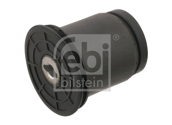 Bushing, axle beam (31694)
