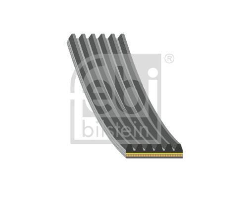 V-Ribbed Belt (184943)