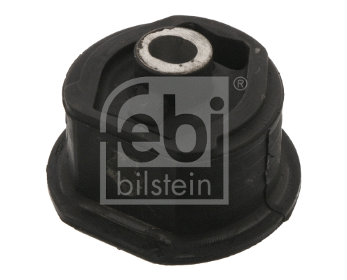 Bushing, axle beam (07601)