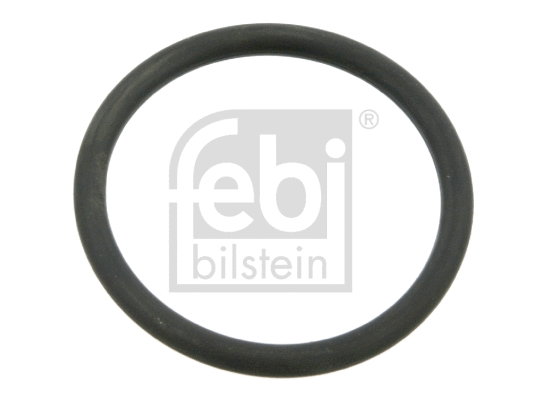 Gasket, water pump (03518)