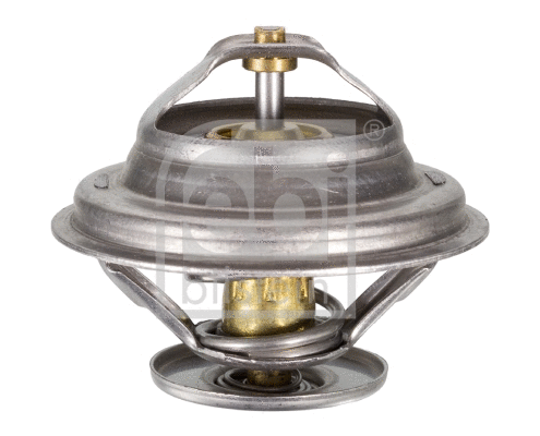 Thermostat, coolant (17896)