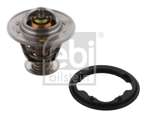 Thermostat, coolant (17355)