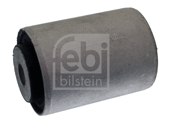 Mounting, control/trailing arm (22446)