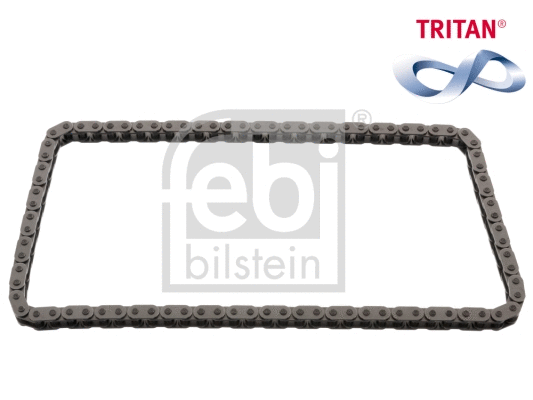 Timing Chain (49505)