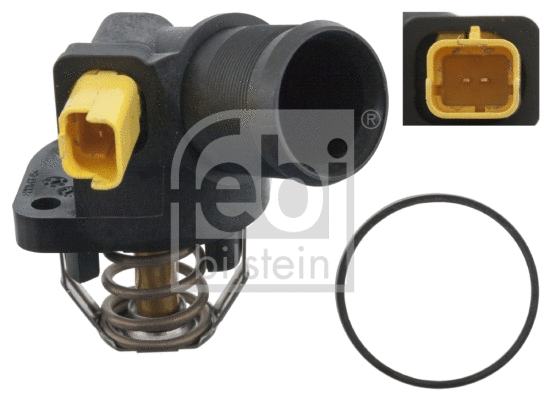 Thermostat, coolant (170586)