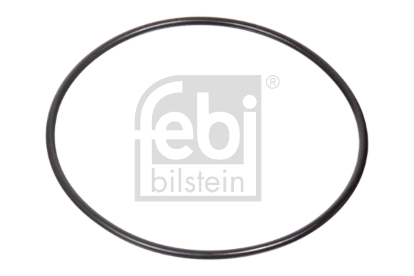 Seal Ring (48404)