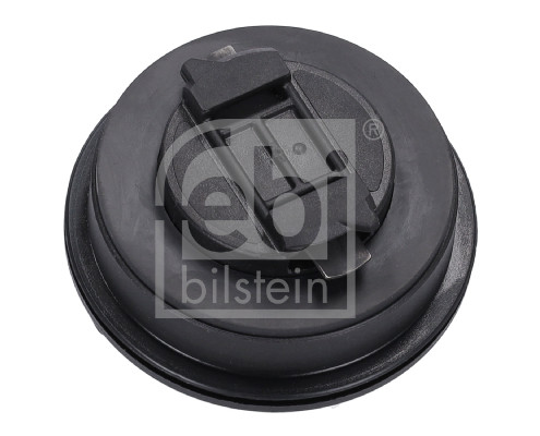 Sealing Cap, oil filler neck