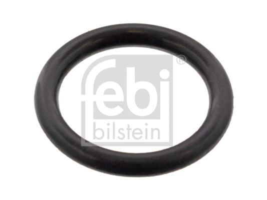 Seal Ring (108877)