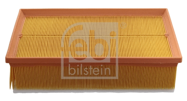 Air Filter (48507)