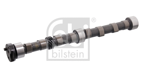 Camshaft (19655)