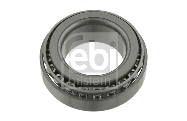Wheel Bearing (06128)