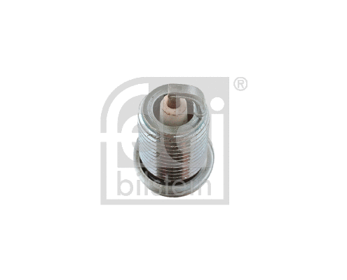 Spark Plug