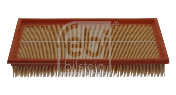 Air Filter (15970)