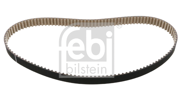 Timing Belt (100170)