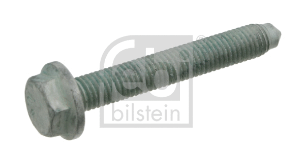 Screw (24422)