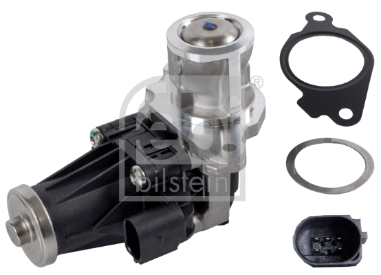 EGR Valve (174953)