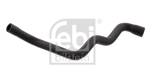 Radiator Hose (36144)