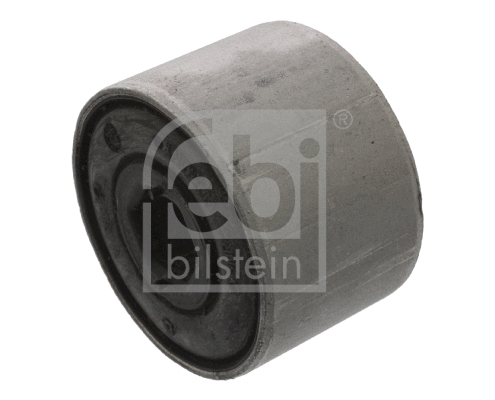 Mounting, control/trailing arm (39091)