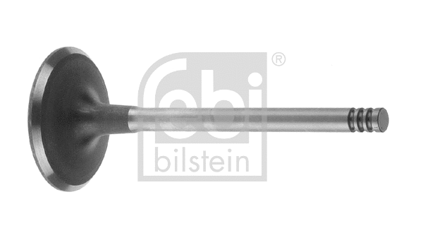 Intake Valve (21210)