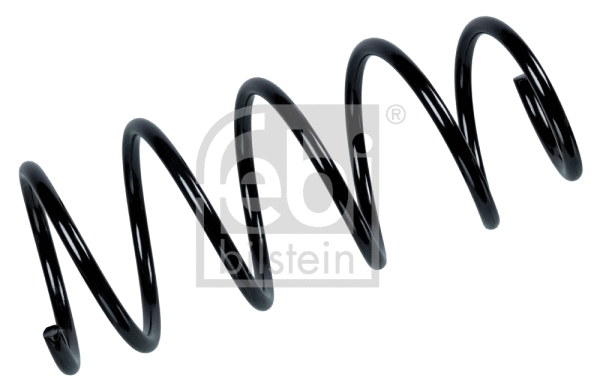 Suspension Spring (104729)