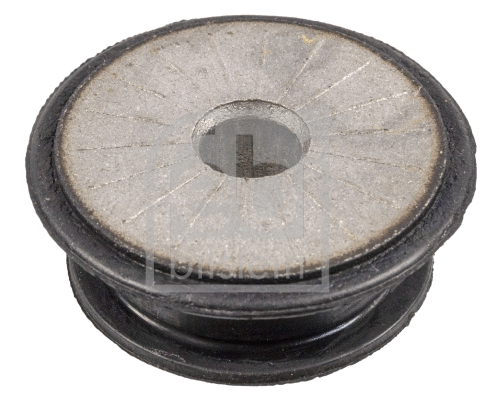Bushing, axle beam (106332)