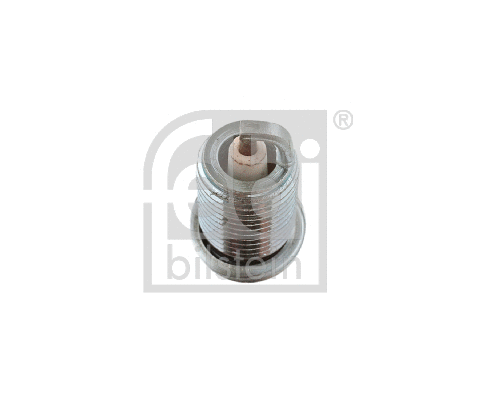 Spark Plug