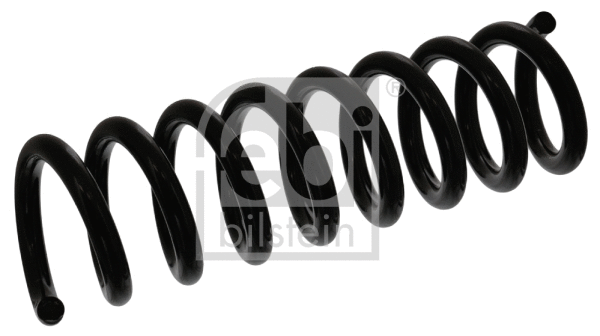 Suspension Spring (46840)