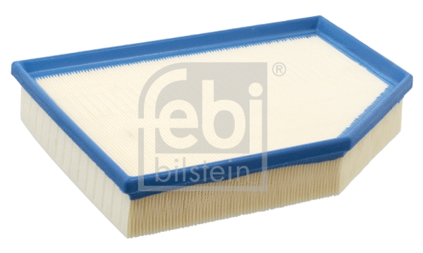 Air Filter (101450)