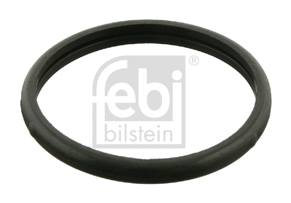 Seal, thermostat (10260)