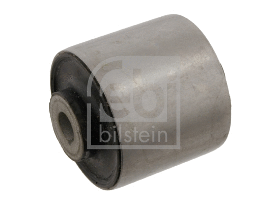 Mounting, control/trailing arm (29347)