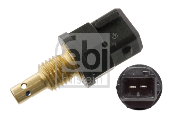 Sensor, intake air temperature (36398)
