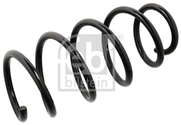 Suspension Spring (104716)