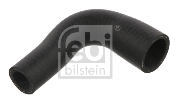 Radiator Hose (38965)