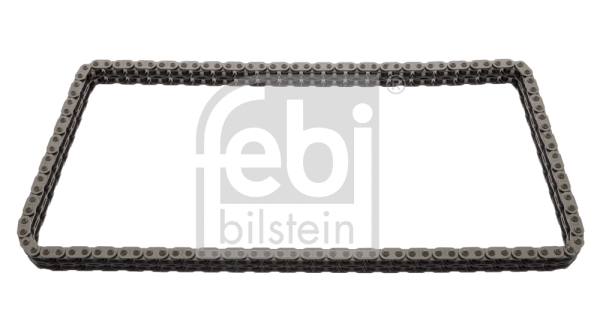 Timing Chain (09361)
