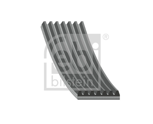 V-Ribbed Belt (184507)