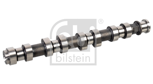Camshaft (176837)