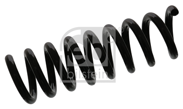 Suspension Spring (46843)